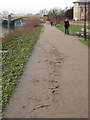 High tide mark on towpath at Richmond