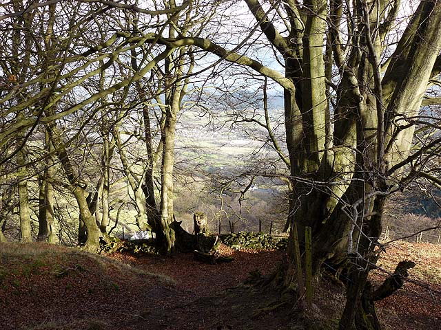Footpath leading to the Punchbowl, Blorenge