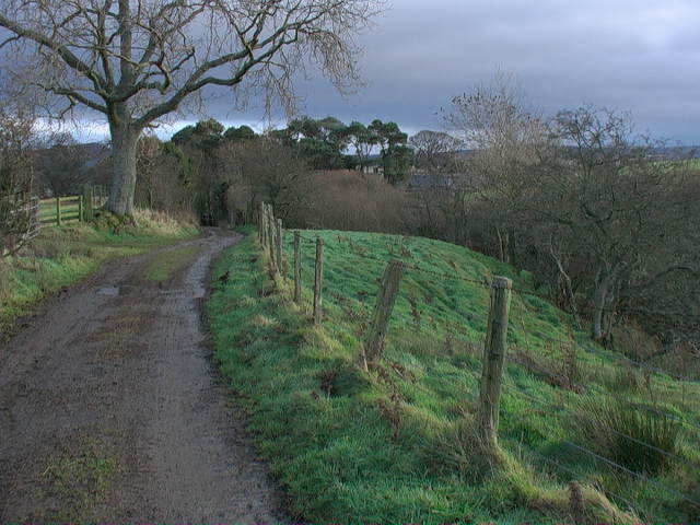 Upper cottages of Roseden from the track to the west