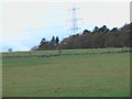 Pasture land to the west of Roddam Rigg