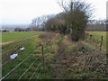 Bridleway by Forest Farm