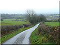 Lon gul ger Llansadwrn / Narrow lane near Llansadwrn.