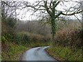 Coedwig ger Llansadwrn / Woodland near Llansadwrn