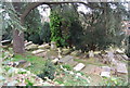 TQ5840 : Woodbury Park Cemetery by N Chadwick