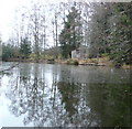 Pond at Tulliemet Lodge