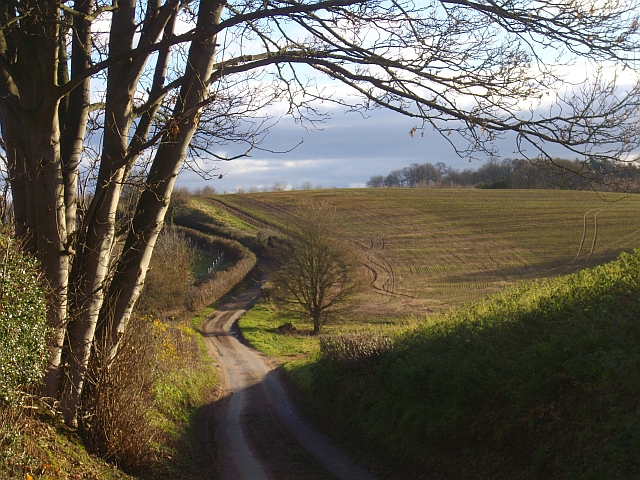 The road to Bromesberrow