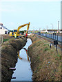 Cleaning the drains