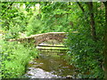 Packhorse Bridge, Brooks, Bleasdale