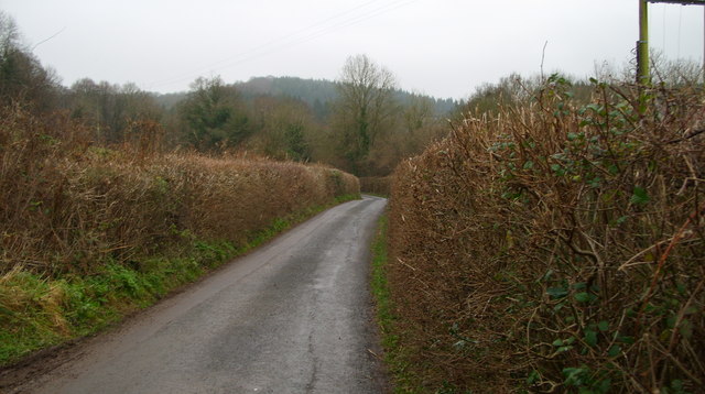 Velthouse Lane between Longhope and Blaisdon
