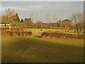 Pasture near Sparkwell