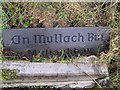H0632 : An Mullagh BuÃ­ (Mullaghboy) by Kenneth  Allen