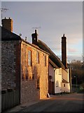 SX9886 : Cottages, Exton Lane, Exton by Derek Harper