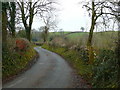 Lon wledig ger Cribyn /  Country lane near Cribyn