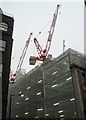 Cranes towering above Maddox Street