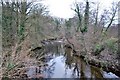 River Dart at Staverton