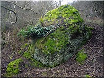 SO7639 : Granite Outcrop on the side of Hangman's Hill by Bob Embleton