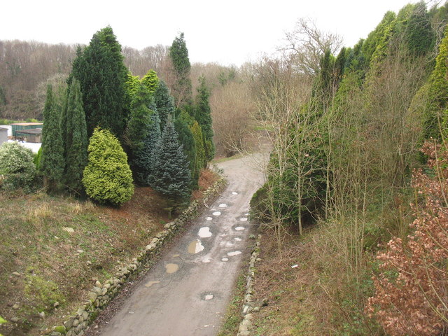 A section of the former L&NW railway track from the overhead bridge at Seiont Nurseries