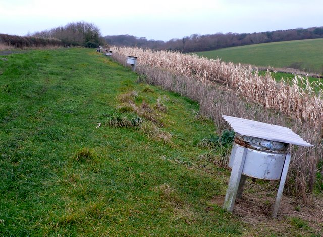 Pheasant Feeders near Rodden Ridge \u00a9 Nigel Mykura :: Geograph Britain ...