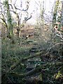 Nature trail boardwalk