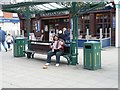 Accordion Busker