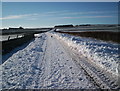 Snowy morning near Crook