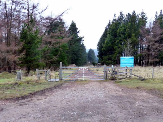 Permissive Path through the Forestry Commission land around Cod Beck Reservoir