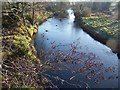 The River Bann at Ballievey