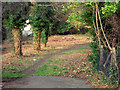 Walk through wooded area - between Grange Road and Beaulieu Heights