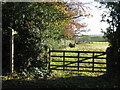 NZ0158 : Footpath to Low Fotherley by Mike Quinn