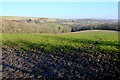 Countryside near Osmington Mills