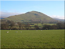 NY6926 : Dufton Pike as seen from Knock by Phil Catterall
