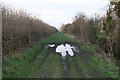 Puddle in the track