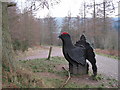 SJ1661 : Welsh Black Grouse Structure on Path Junction by David Quinn