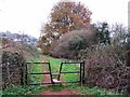 Footpath in Great Parks