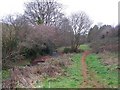 Footpath in Great Parks