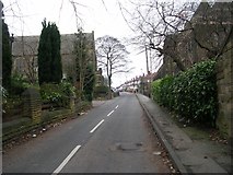 SE3036 : St Martin's View - Chapeltown Road by Betty Longbottom