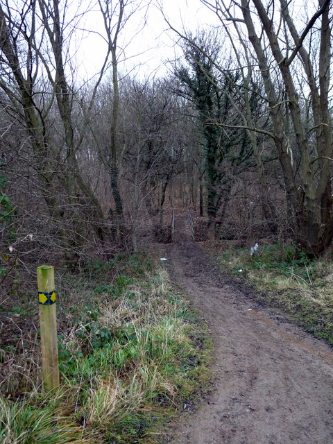 Stainsby Wood, Middlesbrough - area information, map, walks and more