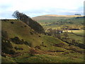 Copse and farmhouse, Dove Valley