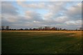 Pasture towards Hithercroft