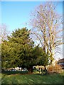 Churchyard, Holy Cross Church