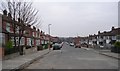 Mexborough Grove - Mexborough Place