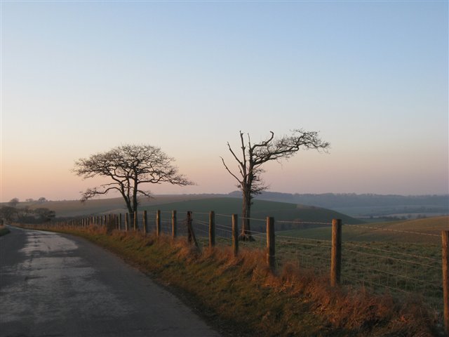 Lane near Chidden Down