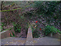 Offham Chalk Pit Tramway (Bottom)