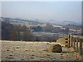 Looking across Allendale to Thornley Gate