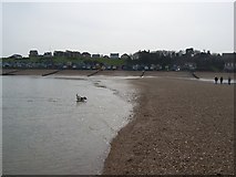 TR1167 : Tankerton Beach seen from Whitstable Street by David Anstiss