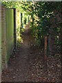 Footpath in the direction of Walmer