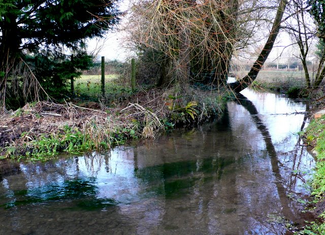 White Lackington, West Dorset - area information, map, walks and more