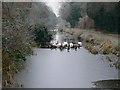 Former Wilts and Berks canal, Kingshill, Swindon