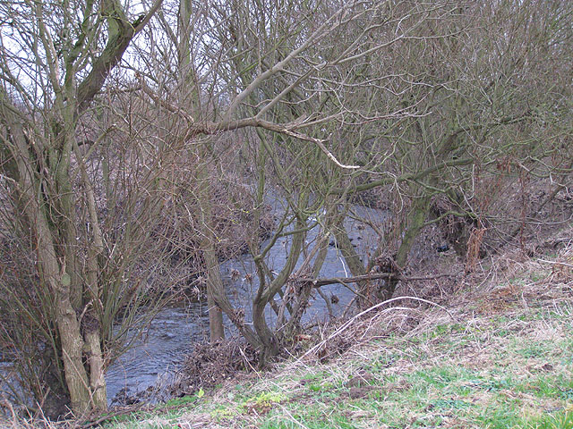 Winter view of the River Seven, Normanby