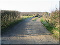 Track from Little Cooting Farm